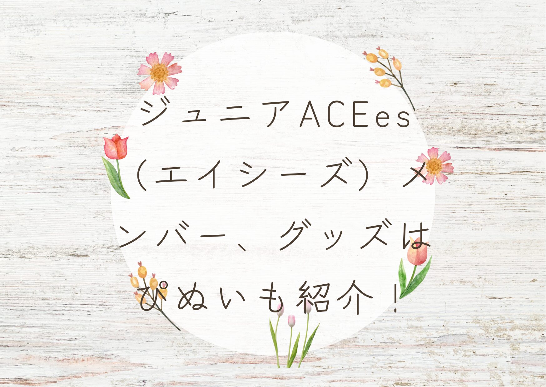 ACEes グッズ ジュニアACEes（エイシーズ）メンバー、グッズはぴぬいも紹介